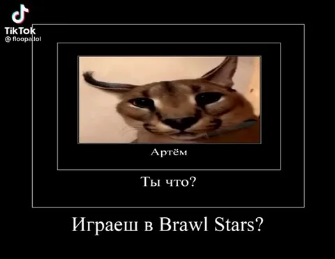 Кот отрицает Brawl Stars