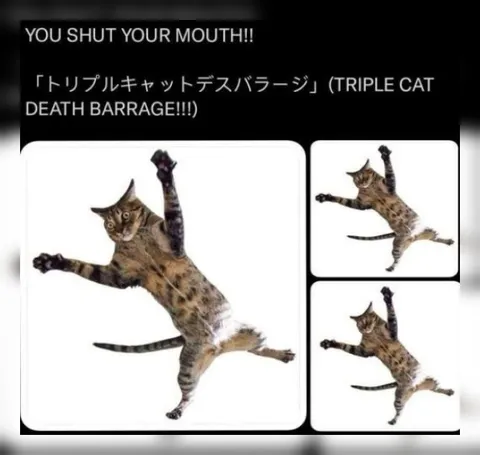 Triple Cat Death Barrage