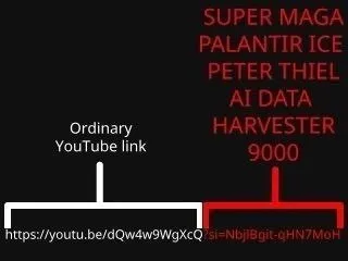 Super MAGA Palantir Ice Link