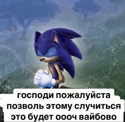 Молящийся Соник о вайбовом событии