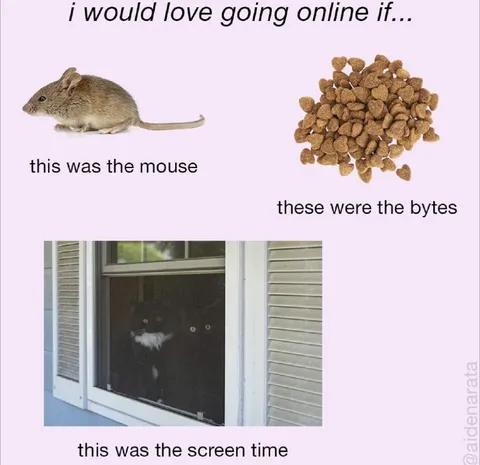 Mouse Bytes Screen Time