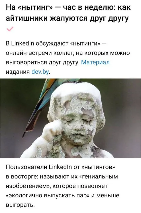 Айтишники жалуются друг другу