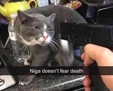 Niga Doesn’t Fear Death