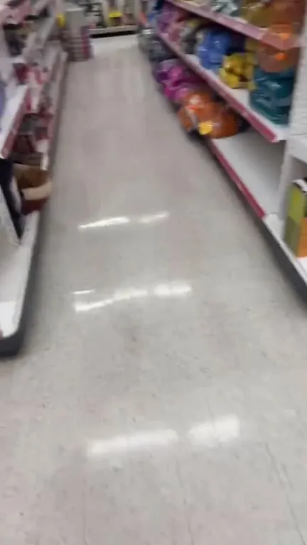 Le chat dans le piège