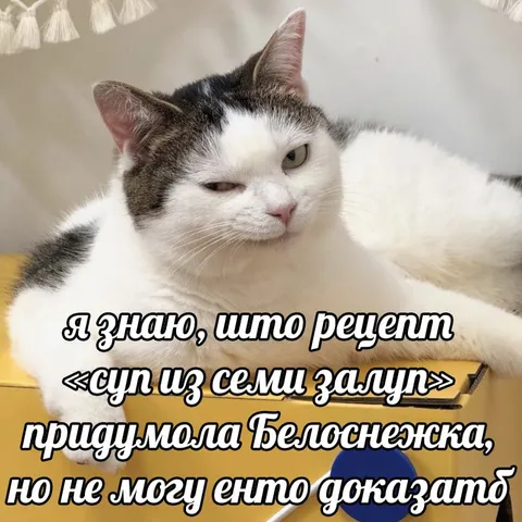 Рецепт супа из семи залуп