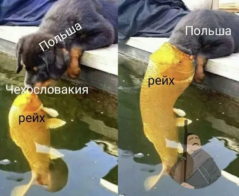 Польша и Чехословакия против рейха