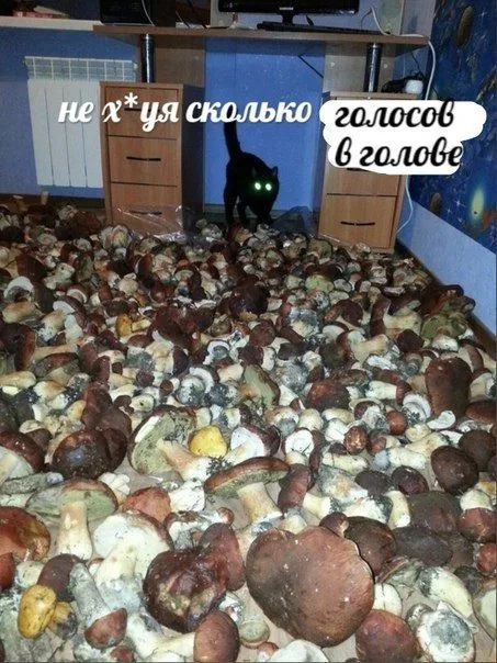 Сколько голосов в голове