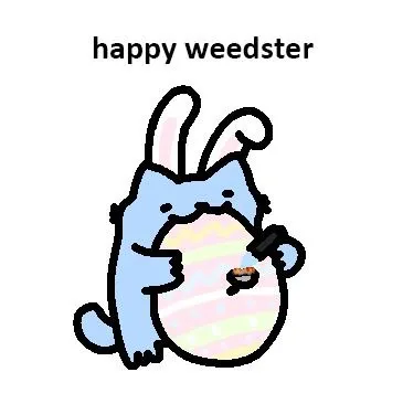 Happy Weedster Bunny Cat