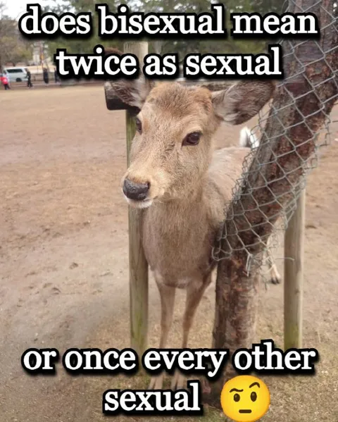 Bisexual Means Twice as Sexual