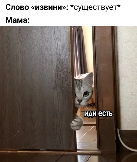 Мама говорит «иди есть»