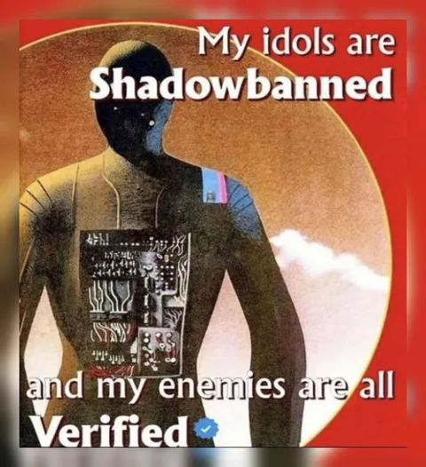 Shadowbanned Idols and Verified Enemies
