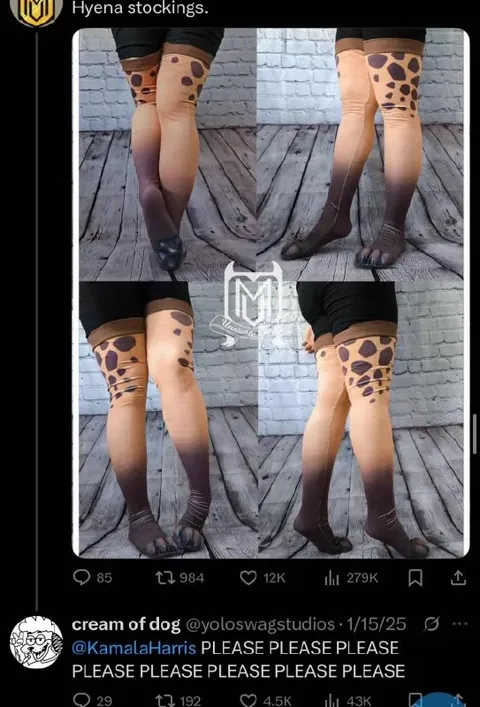 Hyena Stockings Please