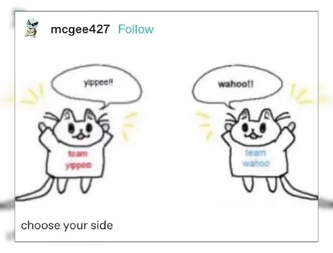 Choose Your Side Cats