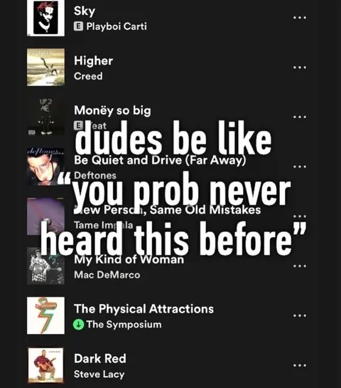 Dudes Be Like Music Snobs