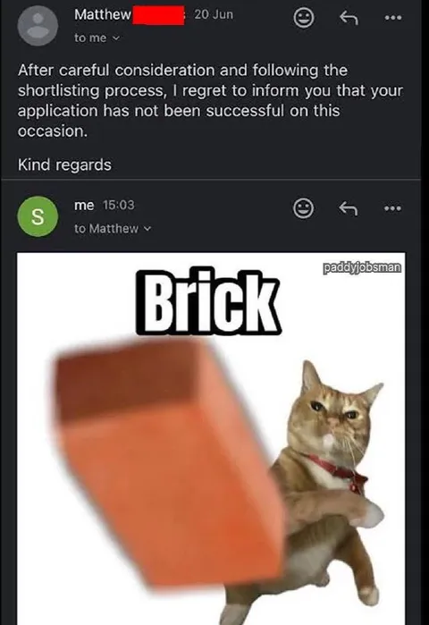 Rejected Job Application Brick Cat