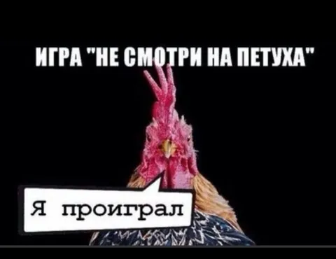 Игра «Не смотри на петуха»