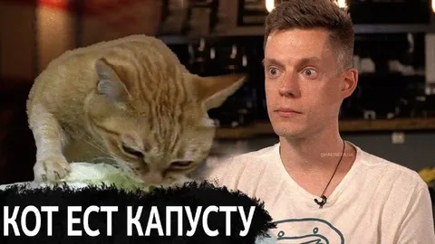 Кот ест капусту