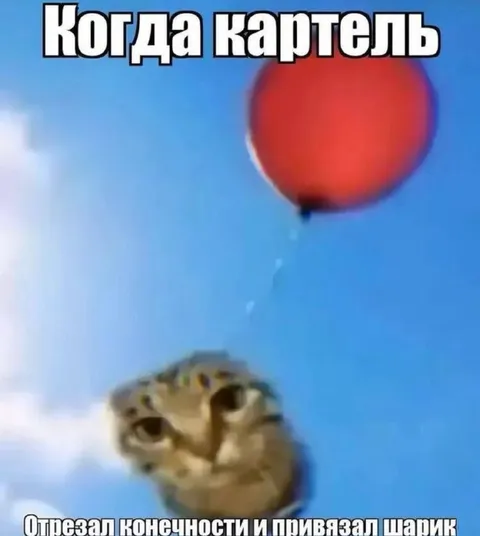 Когда картель отрезал конечности