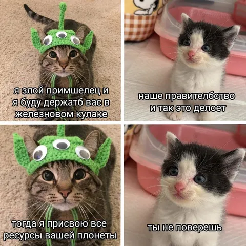 Злой пришмелец и правительство