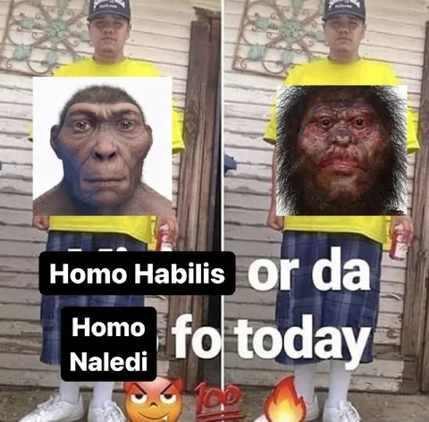 Homo Habilis or Homo Naledi