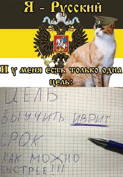 Русский кот учит иврит