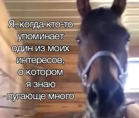 Пугающе много знаю об интересах