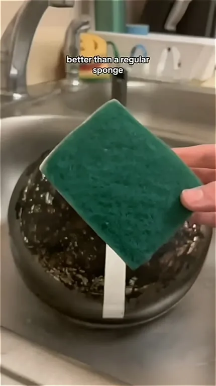Scrub Daddy Is Actually Better