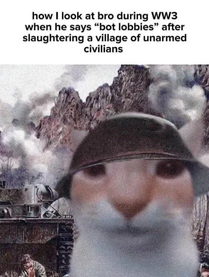 Cat in Helmet During WW3