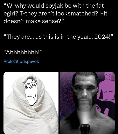 Wojak Questions the 2024 Match