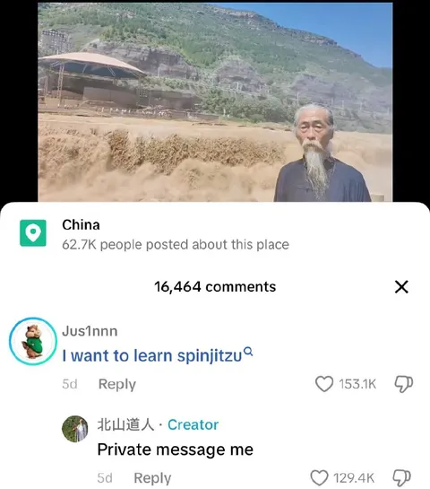 I Want to Learn Spinjitzu