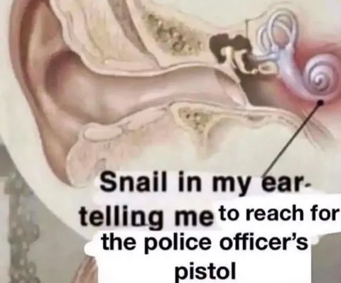 Snail Tells Me to Reach for Pistol