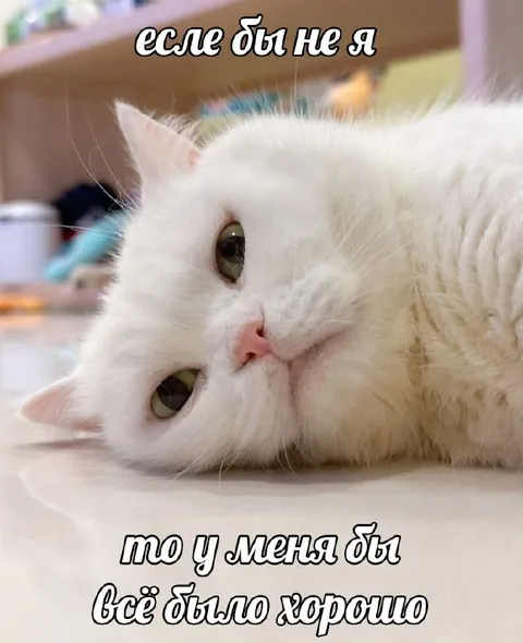 Если бы не я