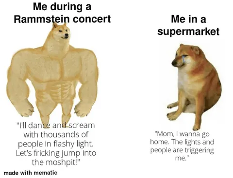 Buff Doge at Rammstein Concert