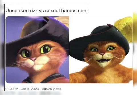 Unspoken Rizz vs Sexual Harassment