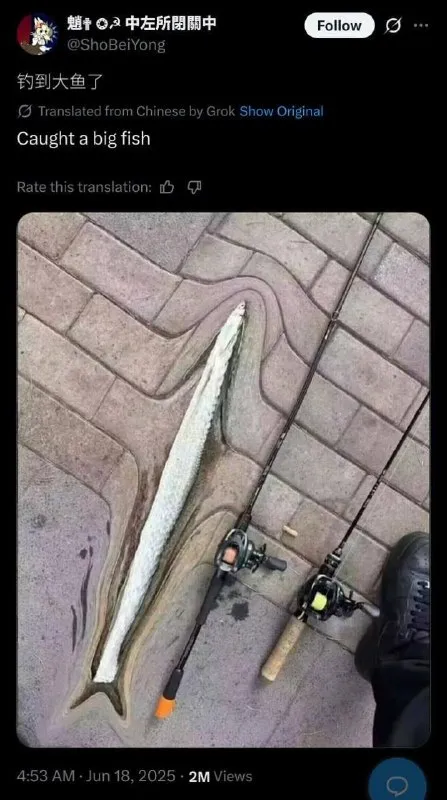 钓到大鱼了