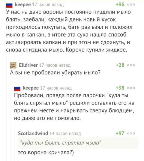 Ворона украла мыло