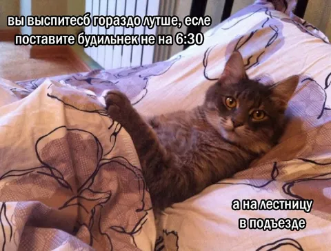 Будильник на лестнице