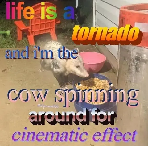 Opossum Spinning for Cinematic Effect