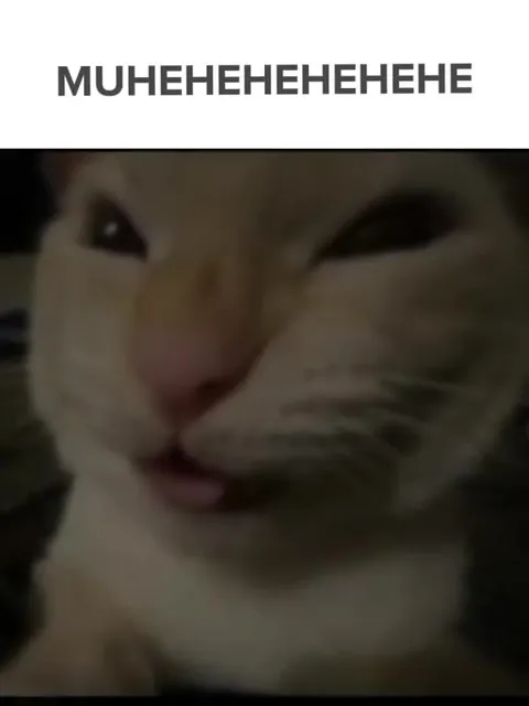 Кот бесконечно хихикает