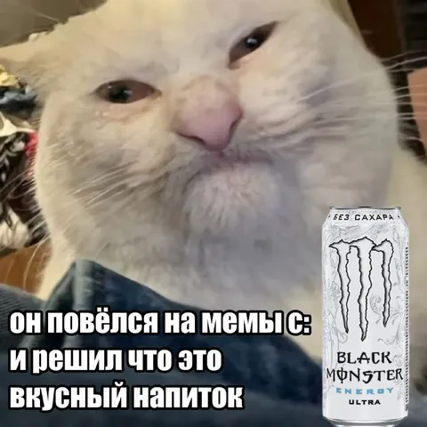 Кот поверил мемам про Monster