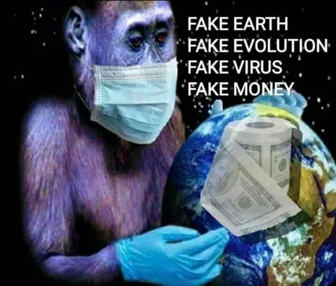 Fake Everything Monkey