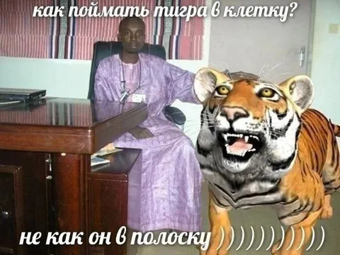 Как поймать тигра в клетку