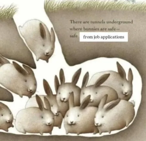 Bunnies Hide From Job Applications
