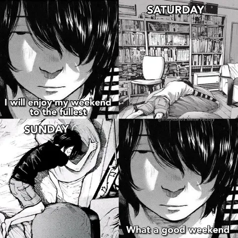Weekend Plans End in Sleep