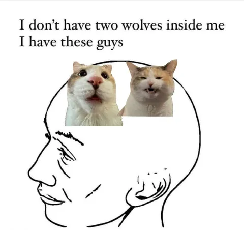 Two Cats Inside Me