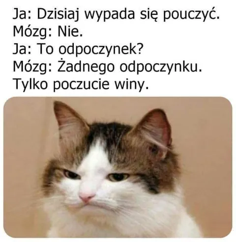 Poczucie winy zamiast odpoczynku