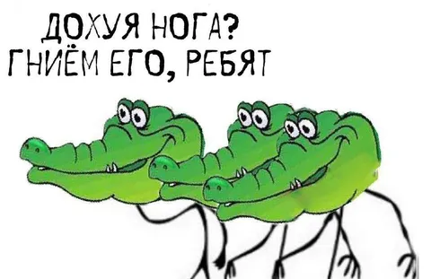 Дохуя ног, гниём его