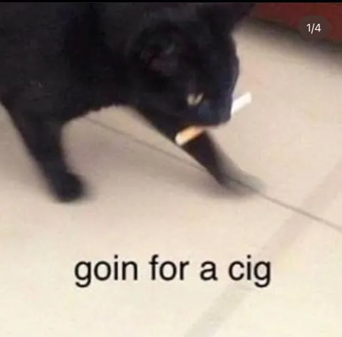 Goin for a Cig Cat