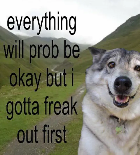 Everything Will Probably Be Okay