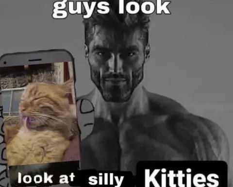 GigaChad Shows Silly Kitties